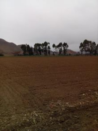 VENDO TERRENO 43,000 m2 – EX FDO CHUQUITANTA - SMP